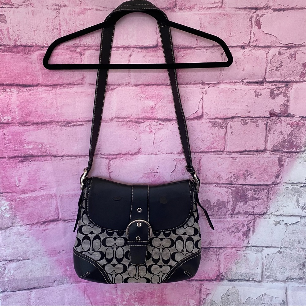 Coach Bag - Has some sun damage.